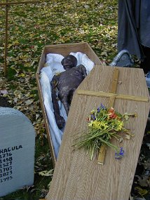 Halloween004