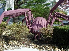 Halloween006