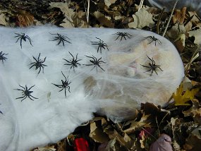 Halloween009