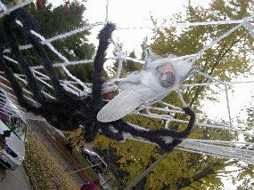Halloween020