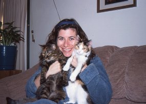 Cats006