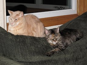 IMG_0008