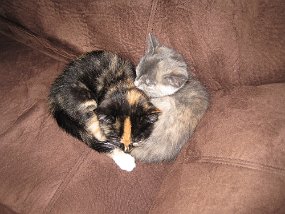 IMG_0341