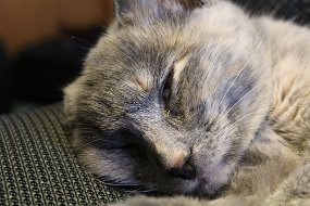 IMG_4041
