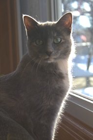Kizzy-1