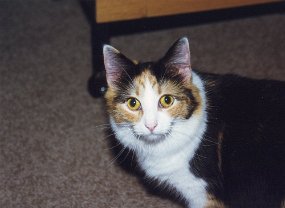 img156