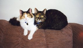 img284
