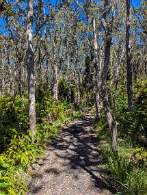 Hawaii 2025-100 null