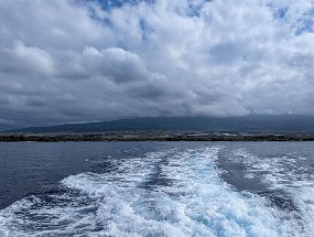 Hawaii 2025-117 null