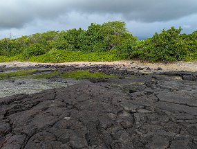 Hawaii 2025-118 null