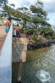 Hawaii 2025-135 null