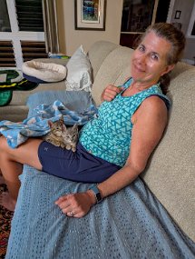 Hawaii 2025-146 null