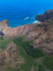 Hawaii 2025-196 null