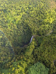 Hawaii 2025-206 null