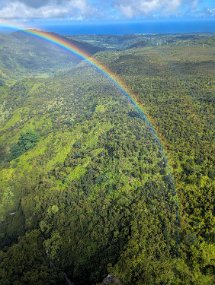 Hawaii 2025-208 null