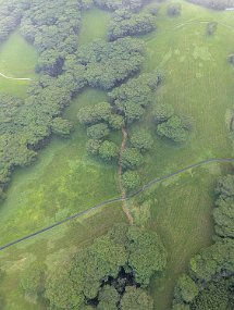 Hawaii 2025-211 null