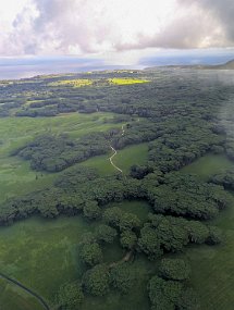 Hawaii 2025-212 null