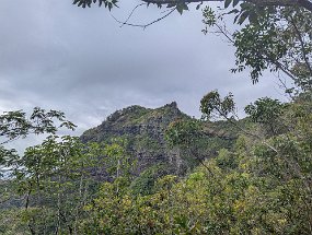 Hawaii 2025-220 null