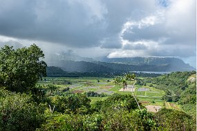 Hawaii 2025-243 null