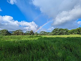 Hawaii 2025-245 null