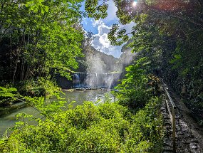 Hawaii 2025-246 null