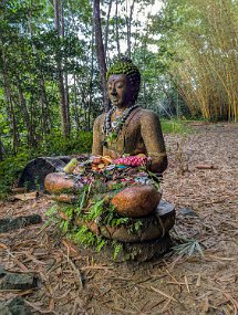 Hawaii 2025-258 null