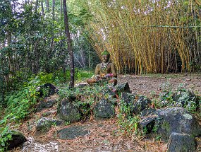 Hawaii 2025-259 null