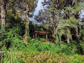 Hawaii 2025-261 null