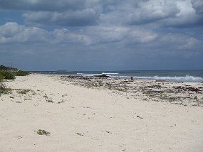 Cozumel-77