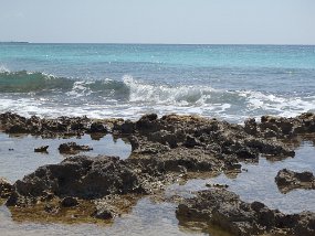 Cozumel-92