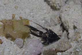 cozumel-170