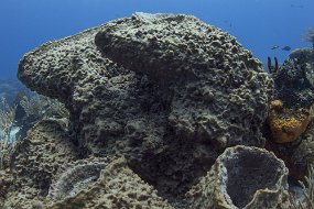 cozumel-187