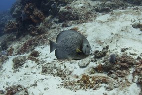 cozumel-198