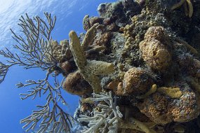 cozumel-204