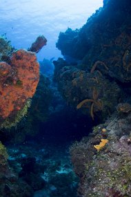 cozumel-234