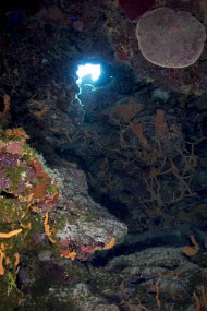 cozumel-236
