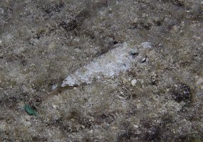 cozumel-317