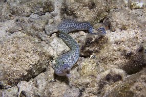 cozumel-318