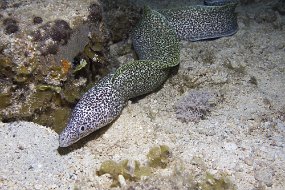 cozumel-341