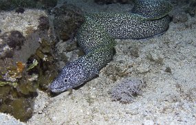 cozumel-342
