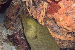 cozumel-355