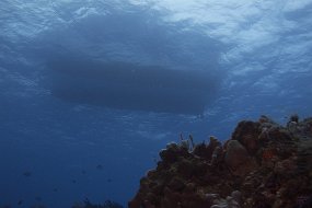 cozumel-362