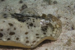 cozumel-401