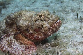 cozumel-407