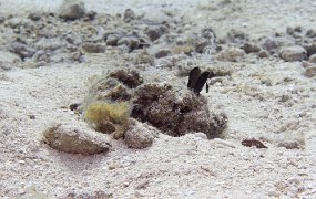 cozumel-443