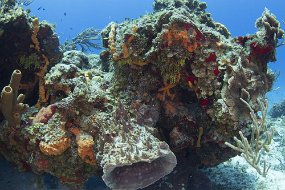 cozumel-597