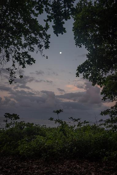Indonesia 2019-552