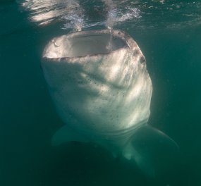 La Paz 2018-24