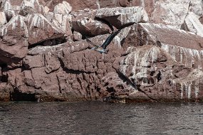 La Paz 2018-87