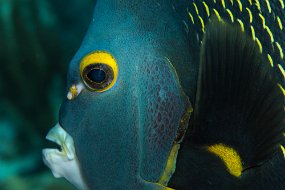 Cayman Islands-145